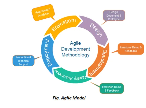 img of What is Agile Model